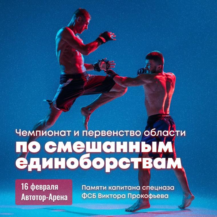 Чемпионат и первенство области по смешанным единоборствам